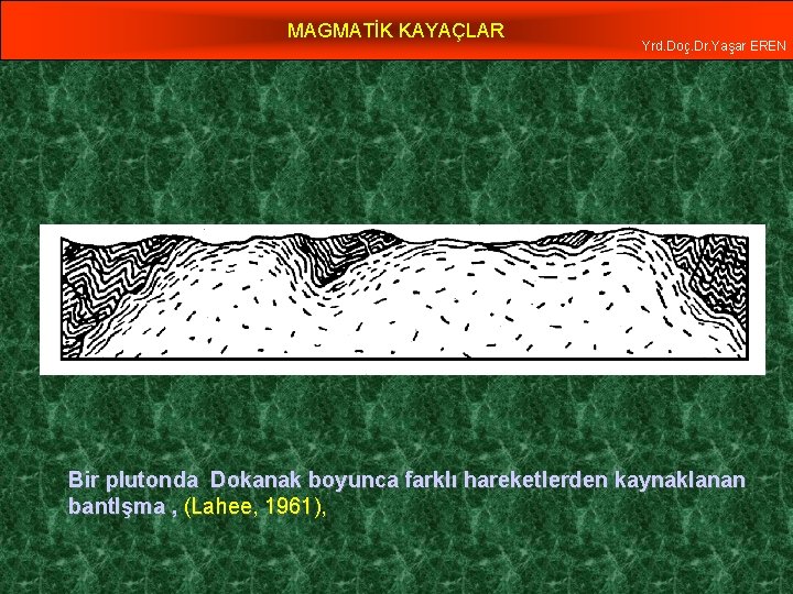 MAGMATİK KAYAÇLAR Yrd. Doç. Dr. Yaşar EREN Bir plutonda Dokanak boyunca farklı hareketlerden kaynaklanan