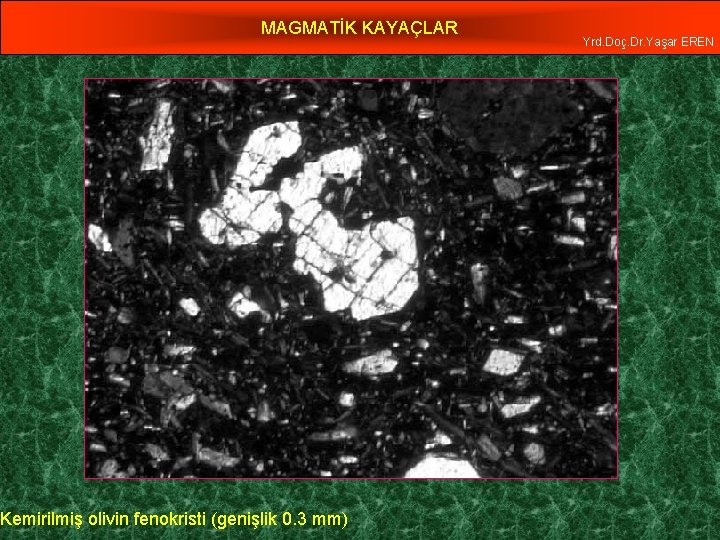 MAGMATİK KAYAÇLAR Kemirilmiş olivin fenokristi (genişlik 0. 3 mm) Yrd. Doç. Dr. Yaşar EREN