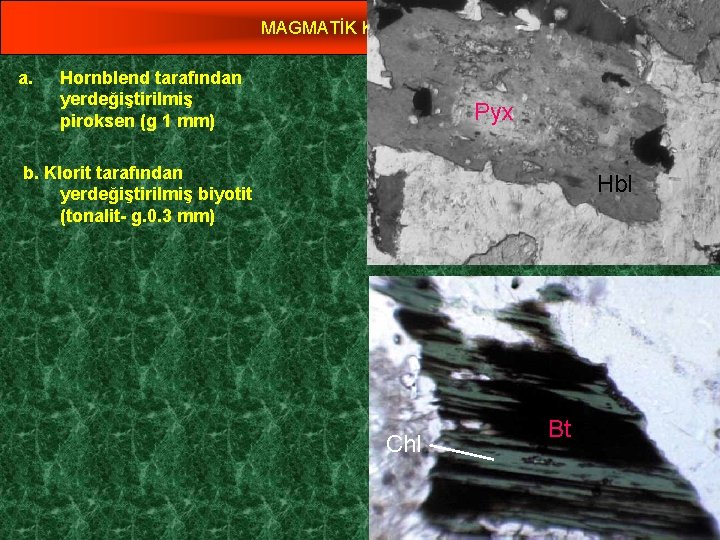 MAGMATİK KAYAÇLAR a. Hornblend tarafından yerdeğiştirilmiş piroksen (g 1 mm) Yrd. Doç. Dr. Yaşar