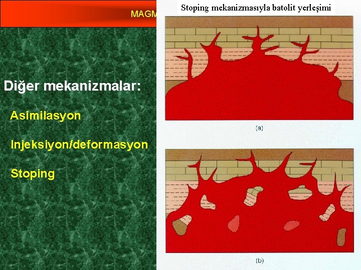 Stoping mekanizmasıyla batolit yerleşimi MAGMATİK KAYAÇLAR Yrd. Doç. Dr. Yaşar EREN Diğer mekanizmalar: Asimilasyon