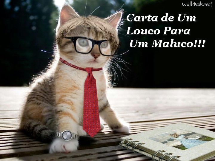 Carta de Um Louco Para Um Maluco!!! 