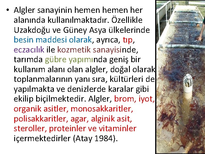  • Algler sanayinin hemen her alanında kullanılmaktadır. Özellikle Uzakdoğu ve Güney Asya ülkelerinde