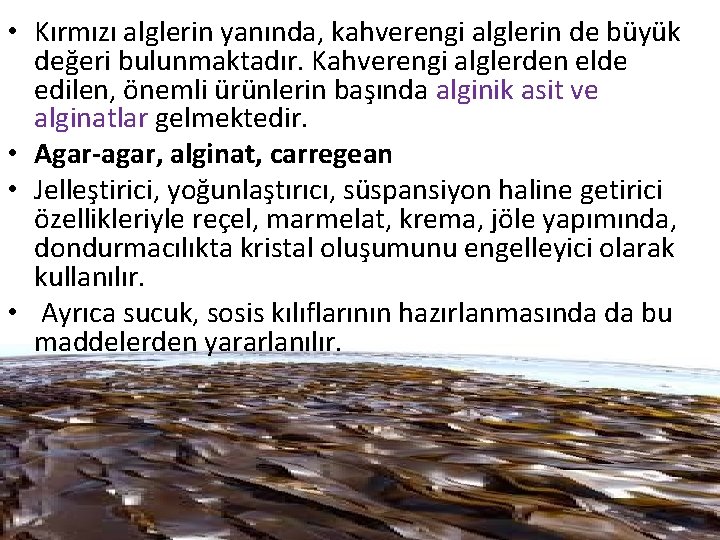  • Kırmızı alglerin yanında, kahverengi alglerin de büyük değeri bulunmaktadır. Kahverengi alglerden elde