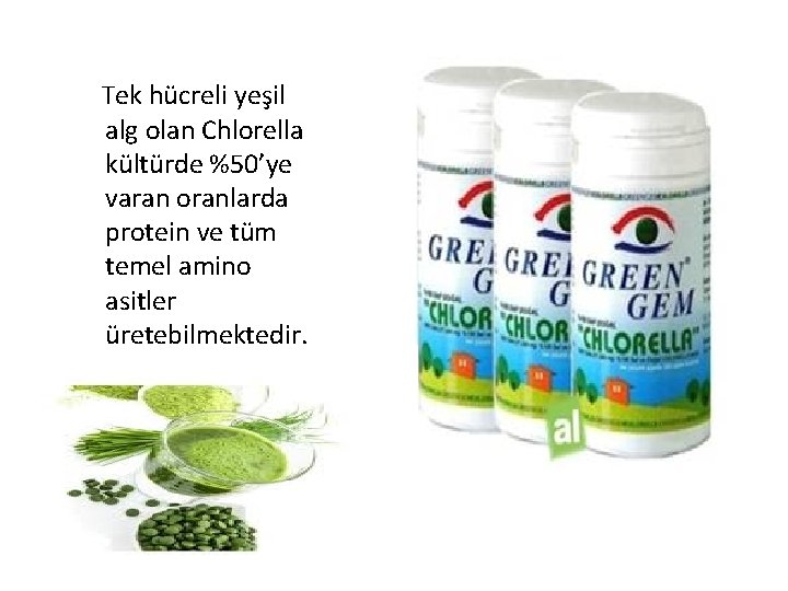 Tek hücreli yeşil alg olan Chlorella kültürde %50’ye varan oranlarda protein ve tüm temel