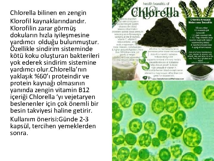 Chlorella bilinen en zengin Klorofil kaynaklarındandır. Klorofilin zarar görmüş dokuların hızla iyileşmesine yardımcı olduğu