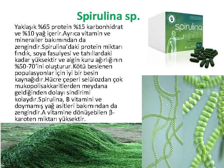 Spirulina sp. Yaklaşık %65 protein %15 karbonhidrat ve %10 yağ içerir. Ayrıca vitamin ve