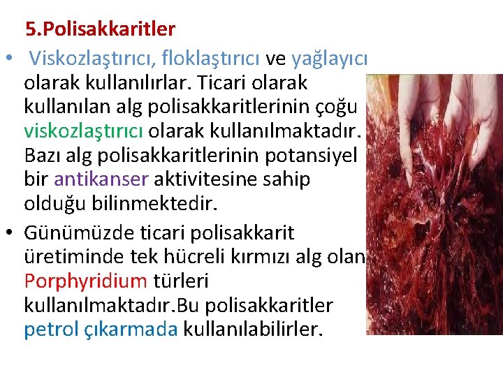 5. Polisakkaritler • Viskozlaştırıcı, floklaştırıcı ve yağlayıcı olarak kullanılırlar. Ticari olarak kullanılan alg polisakkaritlerinin