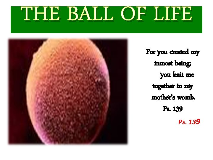 THE BALL OF LIFE For you created my inmost being; you knit me together