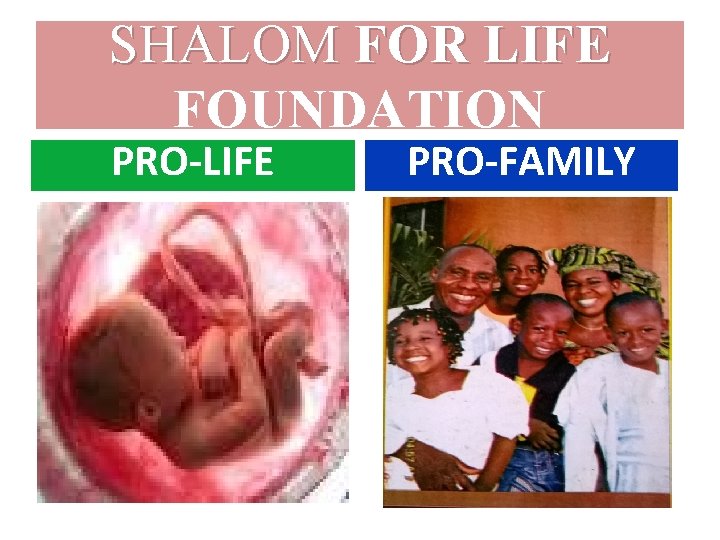 SHALOM FOR LIFE FOUNDATION PRO-LIFE PRO-FAMILY 