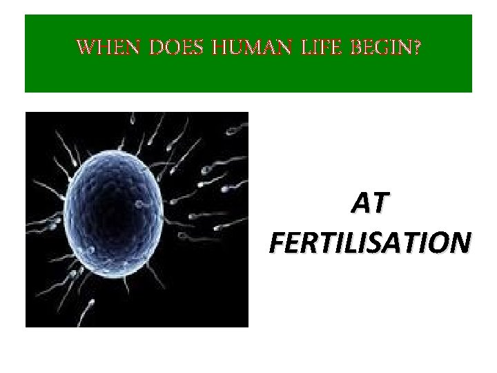 WHEN DOES HUMAN LIFE BEGIN? AT FERTILISATION 