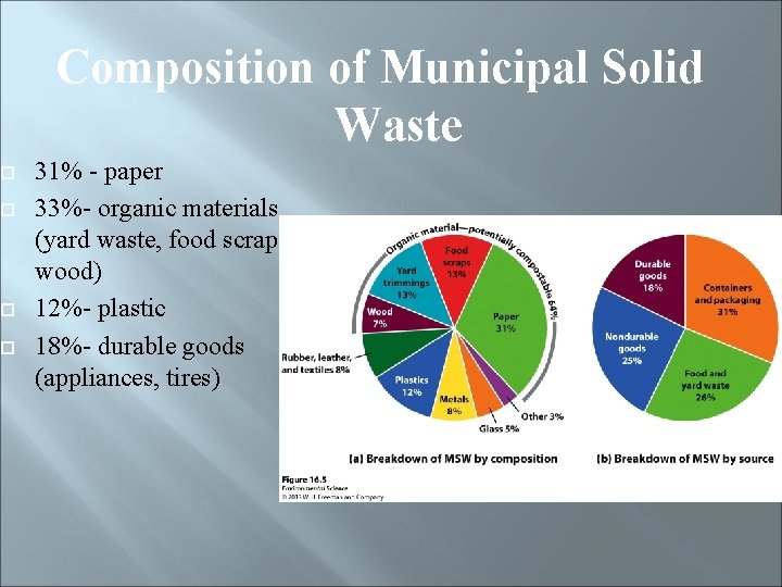  Composition of Municipal Solid Waste 31% - paper 33%- organic materials (yard waste,