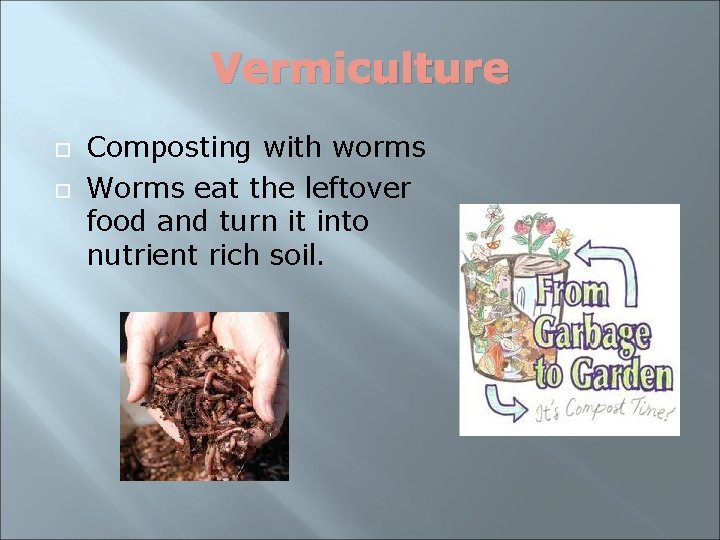 Vermiculture Composting with worms Worms eat the leftover food and turn it into nutrient