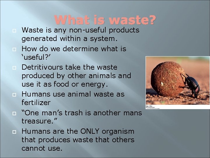 What is waste? Waste is any non-useful products generated within a system. How do