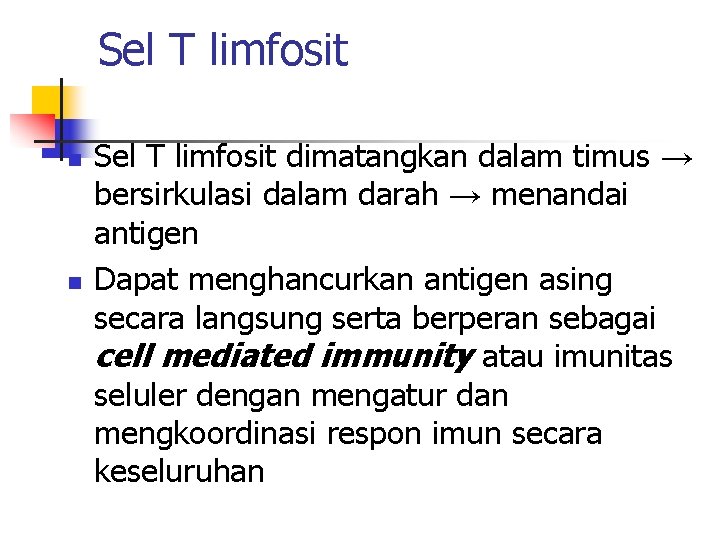 Sel T limfosit n n Sel T limfosit dimatangkan dalam timus → bersirkulasi dalam