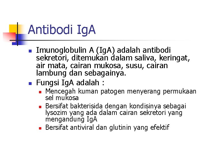 Antibodi Ig. A n n Imunoglobulin A (Ig. A) adalah antibodi sekretori, ditemukan dalam