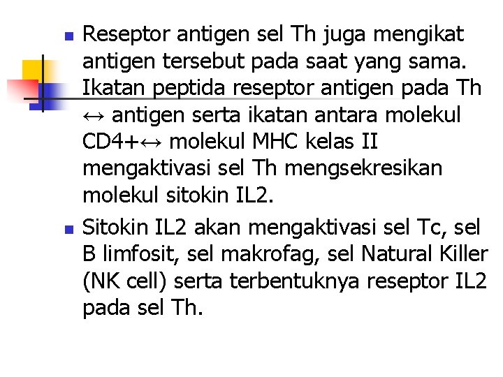 n n Reseptor antigen sel Th juga mengikat antigen tersebut pada saat yang sama.