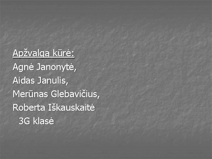 Apžvalgą kūrė: Agnė Janonytė, Aidas Janulis, Merūnas Glebavičius, Roberta Iškauskaitė 3 G klasė 