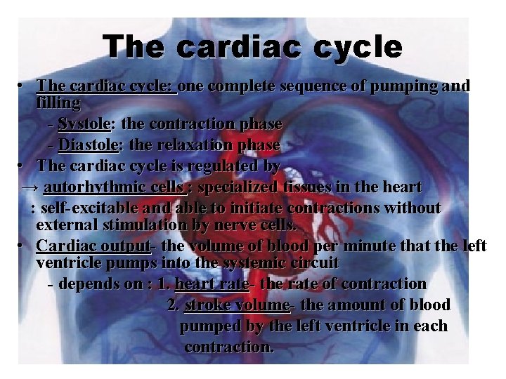 The cardiac cycle • The cardiac cycle: one complete sequence of pumping and filling