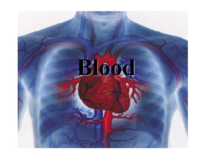 Blood 