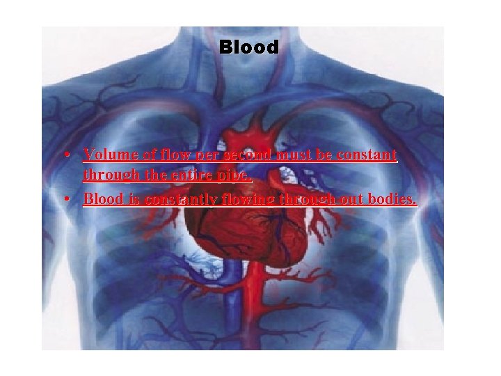 Blood • Volume of flow per second must be constant through the entire pipe.