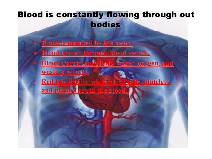 Blood is constantly flowing through out bodies • • • Blood is pumped by