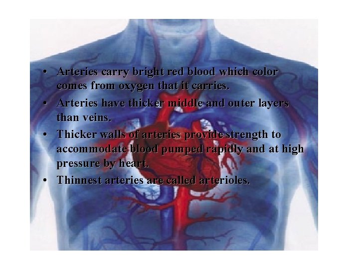  • Arteries carry bright red blood which color comes from oxygen that it
