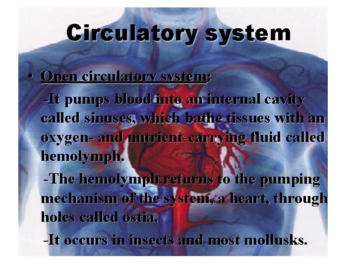 Circulatory system • Open circulatory system: -It pumps blood into an internal cavity called