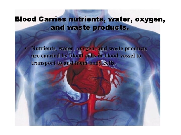 Blood Carries nutrients, water, oxygen, and waste products. • Nutrients, water, oxygen, and waste