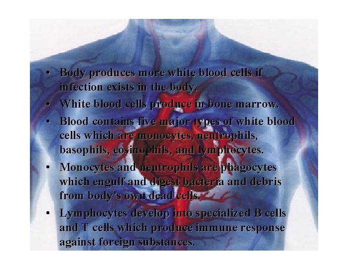  • Body produces more white blood cells if infection exists in the body.