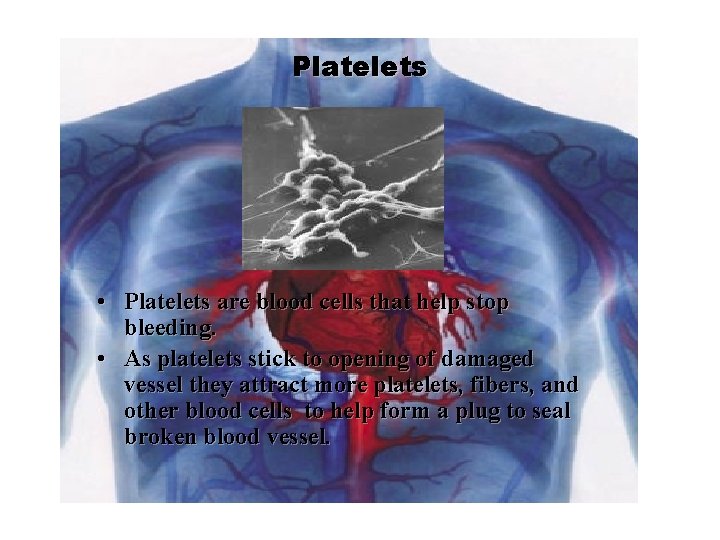 Platelets • Platelets are blood cells that help stop bleeding. • As platelets stick