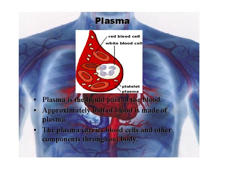 Plasma • Plasma is the liquid part of the blood. • Approximately half of