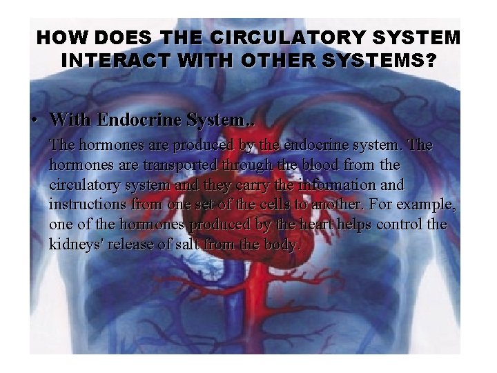 HOW DOES THE CIRCULATORY SYSTEM INTERACT WITH OTHER SYSTEMS? • With Endocrine System. .