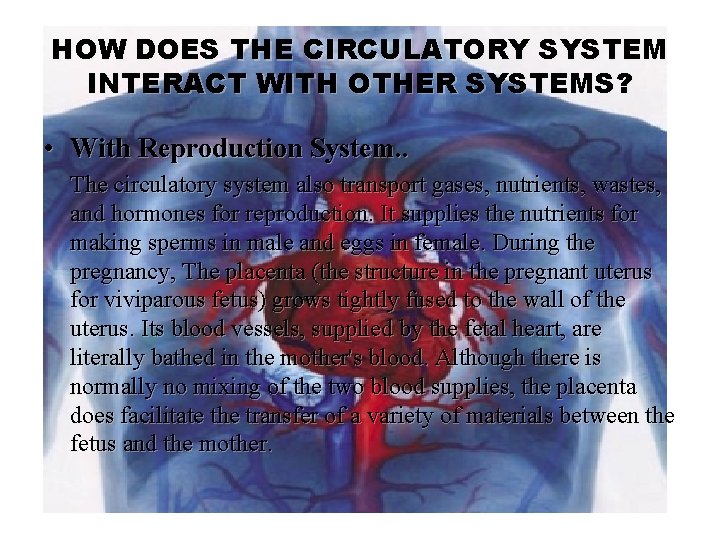 HOW DOES THE CIRCULATORY SYSTEM INTERACT WITH OTHER SYSTEMS? • With Reproduction System. .
