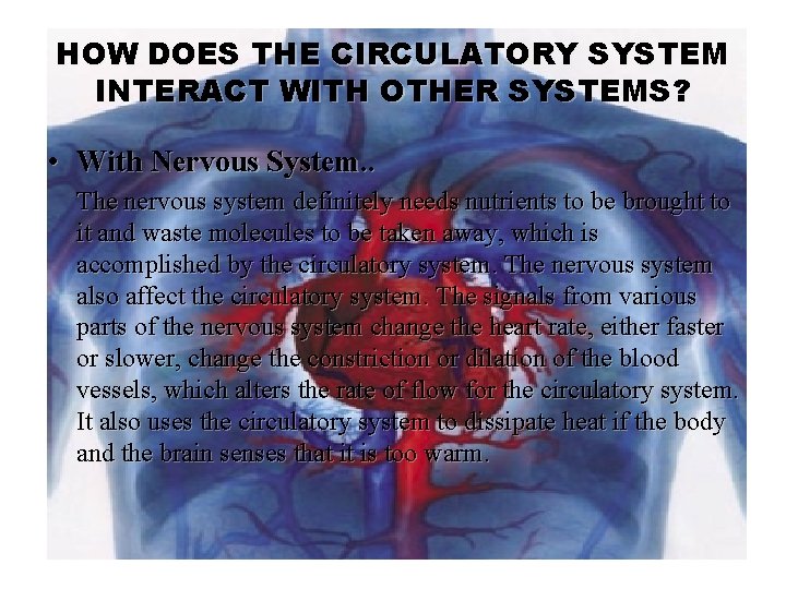 HOW DOES THE CIRCULATORY SYSTEM INTERACT WITH OTHER SYSTEMS? • With Nervous System. .