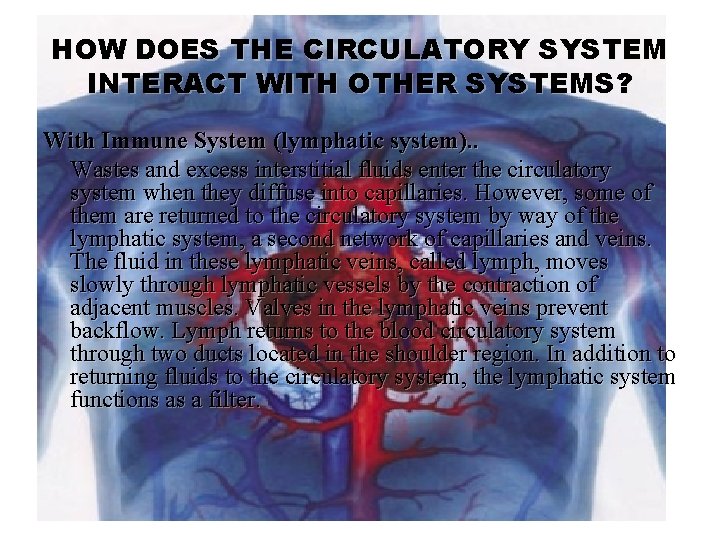 HOW DOES THE CIRCULATORY SYSTEM INTERACT WITH OTHER SYSTEMS? With Immune System (lymphatic system).