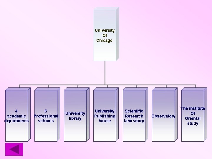 University Of Chicago 4 academic departments 6 Professional schools University library University Publishing house