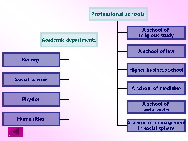 Professional schools Academic departments A school of religious study A school of law Biology