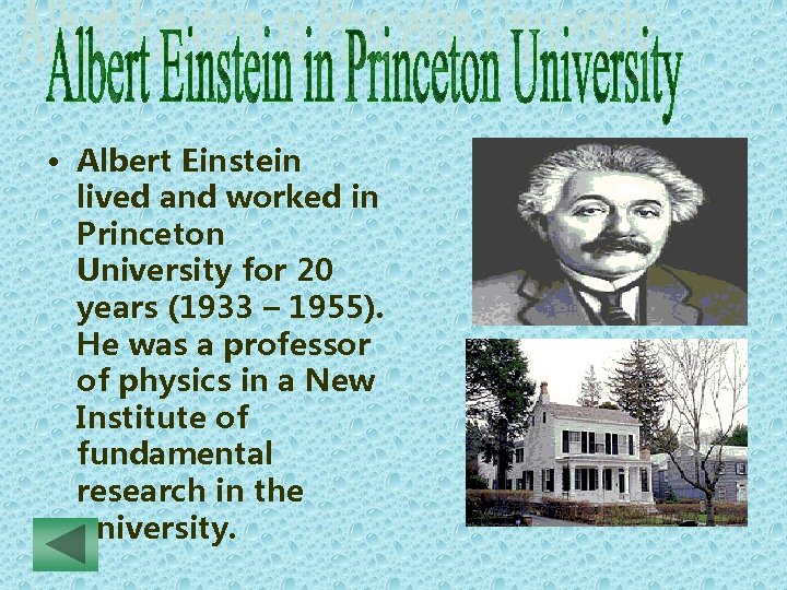  • Albert Einstein lived and worked in Princeton University for 20 years (1933