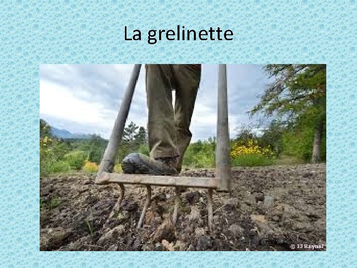 La grelinette 