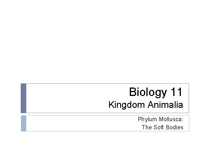 Biology 11 Kingdom Animalia Phylum Mollusca: The Soft Bodies 