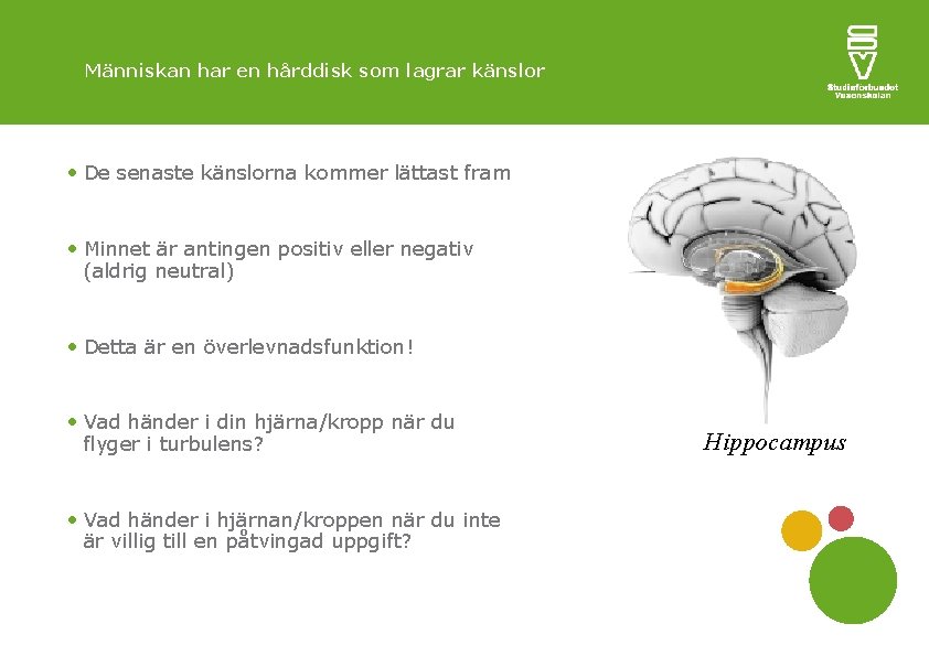 Människan har en hårddisk som lagrar känslor De senaste känslorna kommer lättast fram Minnet