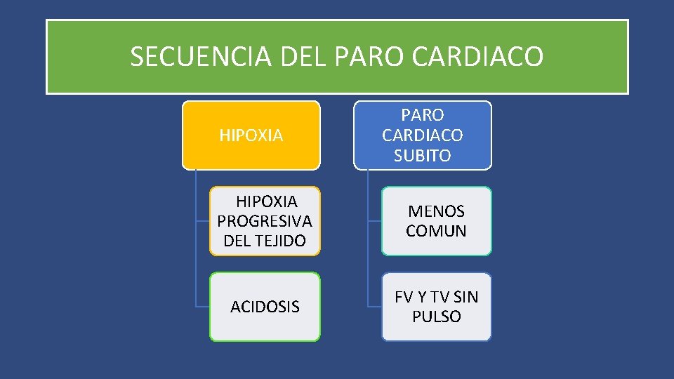 SECUENCIA DEL PARO CARDIACO HIPOXIA PARO CARDIACO SUBITO HIPOXIA PROGRESIVA DEL TEJIDO MENOS COMUN