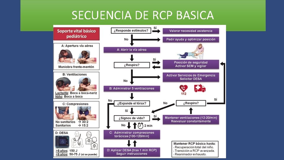 SECUENCIA DE RCP BASICA 