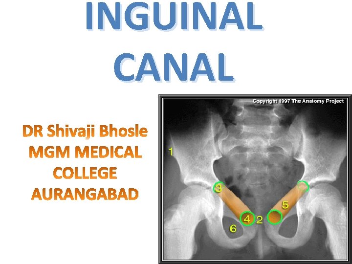 INGUINAL CANAL 