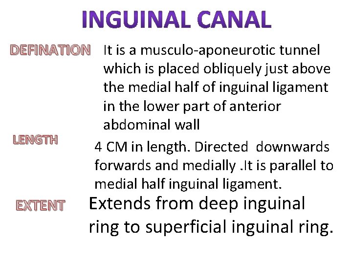 DEFINATION It is a musculo-aponeurotic tunnel which is placed obliquely just above the medial