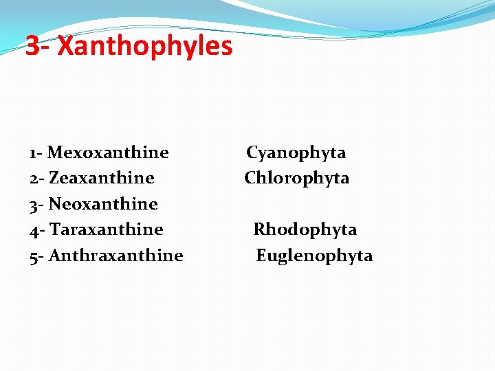 3 - Xanthophyles 1 - Mexoxanthine 2 - Zeaxanthine 3 - Neoxanthine 4 -