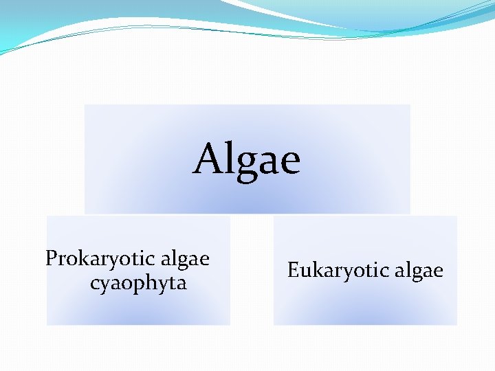 Algae Prokaryotic algae cyaophyta Eukaryotic algae 