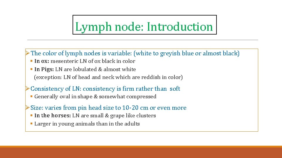 Lymph node: Introduction ØThe color of lymph nodes is variable: (white to greyish blue