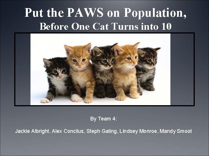 Put the PAWS on Population, Before One Cat Turns into 10 By Team 4: