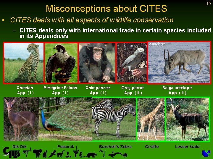 15 Misconceptions about CITES • CITES deals with all aspects of wildlife conservation –